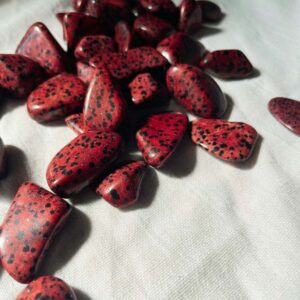 Rød dalmatiner_1